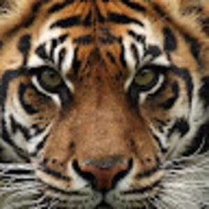 Meet your Posher, Aubery